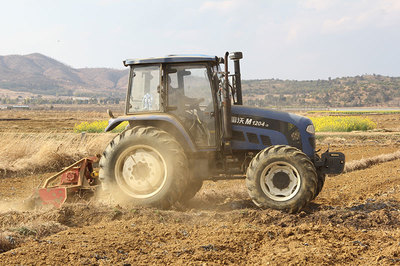 云南祥云 玉米制种促增收 农作物种子生产